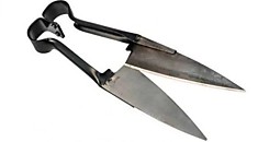 Ножницы для стрижки овец